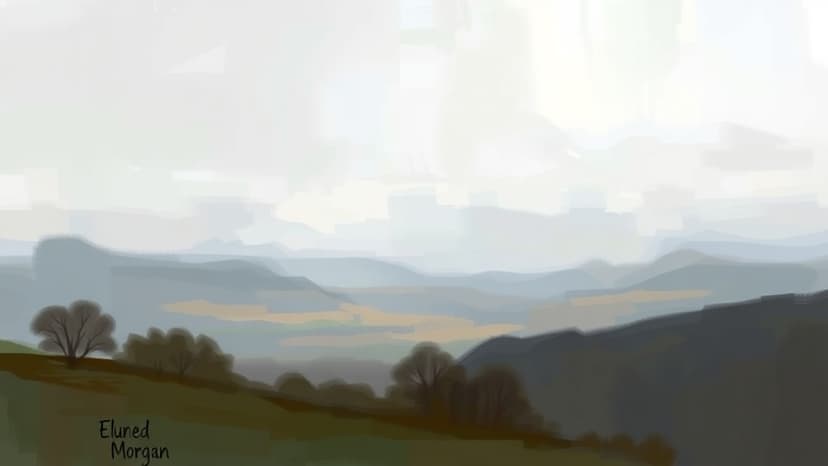 Eluned Morgan Unveils Economic and Healthcare Vision for North Wales