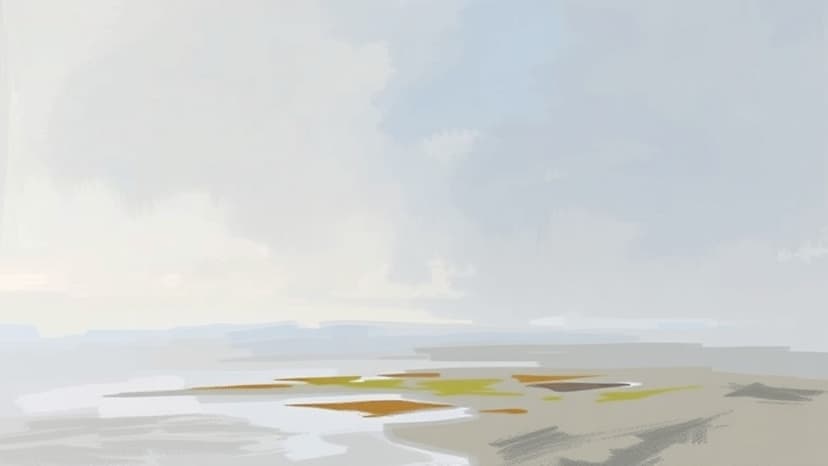 Banque des Territoires Mobilizes €110 Million for Public Investments in Guyane