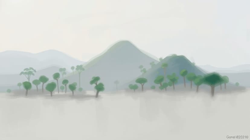 Brazil's COP30 Roadmap to Combat Deforestation Invites Global Participation
